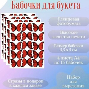 Бабочки для букетов/ Бабочки для вырезания в Москве от компании М.Видео