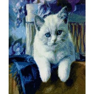 Алмазная мозаика квадратные стразы кот, кошка, майкун, шотландская , животные 40*50 полная выкладка в Москве от компании М.Видео