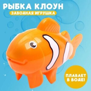 Водоплавающая игрушка «Рыбка клоун», заводная в Москве от компании М.Видео