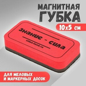 Губка для меловых и маркерных досок «Знание-сила», 10 х 5 см (комплект из 17 шт) в Москве от компании М.Видео