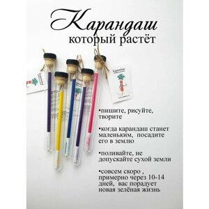 Карандаш простой, растущие карандаши , подарок на новый год в Москве от компании М.Видео