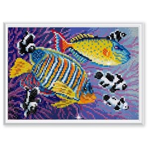 Алмазная мозаика "Разноцветные рыбки" Collection D'Art, 27х19, DE7096 в Москве от компании М.Видео