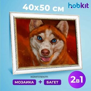 Алмазная мозаика полная выкладка HOBKIT "Хаски 40х50+Багет белый " 50х40 размер холста, в Москве от компании М.Видео