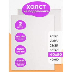 Набор холстов на подрамнике 40х50 РамКом - 2 шт, холст грунтованный хлопковый для рисования, для акрила, масла, гуаши, темперы, белый большой хост в Москве от компании М.Видео