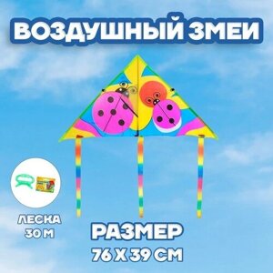 Funny toys Воздушный змей «Божья коровка», с леской в Москве от компании М.Видео