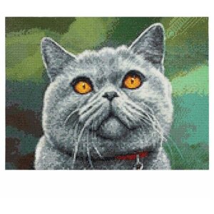 Cr 340026 Алмазная мозаика 'Британский кот', 30*40см, Cristyle в Москве от компании М.Видео