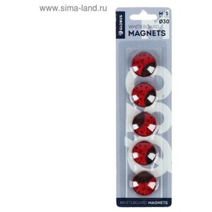 Магниты для досок 30 мм, 5 штук, "Божья коровка" красные в Москве от компании М.Видео