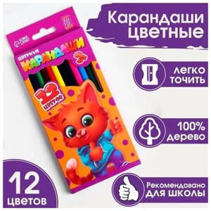 ArtFox STUDY Карандаши цветные ArtFox STUDY, заточенные, трехгранные 12 цветов, корпус деревянный, картонная коробка с европодвесом. в Москве от компании М.Видео