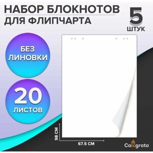 Набор блокнотов 5 штук для флипчарта, 67,5 х 98 см, 20 листов белый, 92%, 80 г/м2, в Москве от компании М.Видео