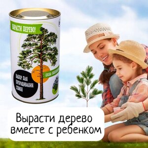 Подарочный набор для выращивания растений в комнатных условиях Посади дерево с ребёнком - Cосна в Москве от компании М.Видео