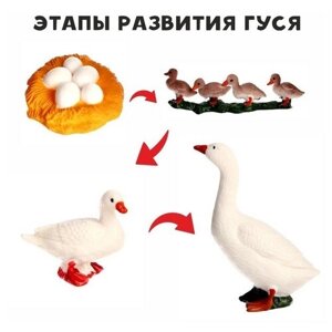 Обучающий набор «Этапы развития гуся» 4 фигурки в Москве от компании М.Видео