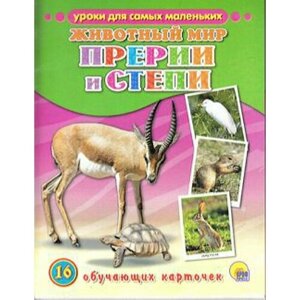 Животный мир. Прерии и степи (ОбучКарточки) в Москве от компании М.Видео