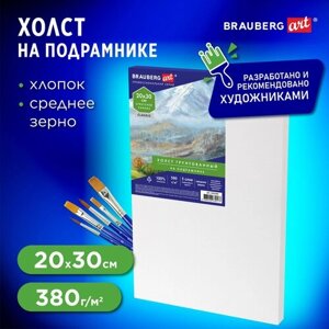 Холст на подрамнике 20х30 см, 380 г/м2, грунтованный, 100% хлопок, BRAUBERG ART, 192194 в Москве от компании М.Видео