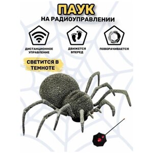 Игрушка на пульте управления паук в Москве от компании М.Видео