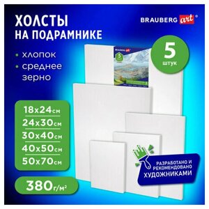 Комплект 10 шт, Холсты на подрамнике BRAUBERG ART CLASSIC, набор 5шт, грунтованные, 100%хлопок, среднее зерно,190650 в Москве от компании М.Видео