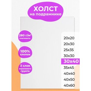 Холст на подрамнике 30х40 РамКом, грунтованный хлопковый для рисования, для акрила , масла, гуаши, темперы, белый маленький хост в Москве от компании М.Видео