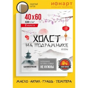 Набор грунтованных холстов на подрамнике ионарт 40х60 см, хлопок 420 г/м2, 2 шт. в Москве от компании М.Видео