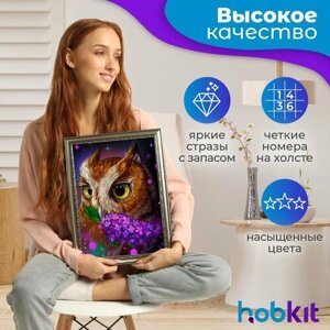 Алмазная мозаика HOBKIT "Сова 30х40 " 40х30 размер холста, в Москве от компании М.Видео