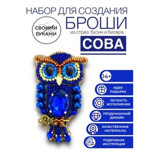 Набор для творчества создания, изготовления, вышивки украшения броши из бисера птица сова в Москве от компании М.Видео