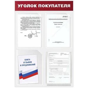 Доска-стенд Уголок покупателя (50х75 см), 4 кармана А4, 3 плоских + 1 объемный, эконом, BRAUBERG, 291012 в Москве от компании М.Видео