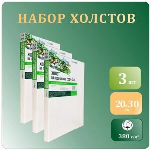 Грунтованные холсты для рисования на подрамнике 20х30 см, Хоббитания, 100% хлопок, мелкое зерно, 380 гр/м2, набор холстов из 3 штук в Москве от компании М.Видео