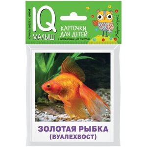 Набор карточек для детей. Аквариумные рыбы в Москве от компании М.Видео
