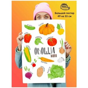 Постер плакат Овощи для детей в Москве от компании М.Видео