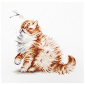 Luca-S Набор для вышивания Кошка со стрекозой, 22.5 х 22 см, B2270 в Москве от компании М.Видео