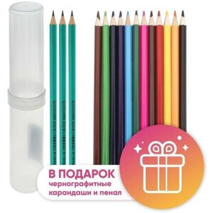 Карандаши 12 цветов Calligrata, эконом, заточенные, шестигранные, пластиковые, пенал-тубус и 3 чернографитных карандаша с ластиком в подарок в Москве от компании М.Видео