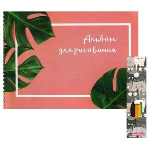 Ботаника. Набор для рисования (альбом + карандаши цветные 24 шт) в Москве от компании М.Видео