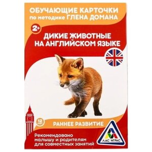 Обучающие карточки по методике Г. Домана «Дикие животные на английском языке», 12 карт, А6 в Москве от компании М.Видео