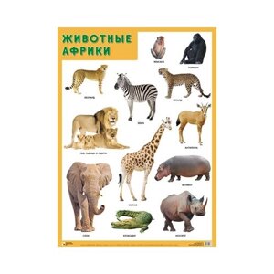 Плакат Мозаика-Синтез Животные Африки