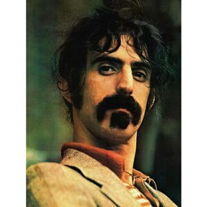 Плакат, постер на бумаге Frank Zappa/Фрэнк Заппа/музыкальные/поп исполнитель/артист/поп-звезда/группа. Размер 21 х 30 см