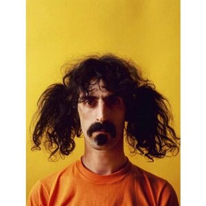 Плакат, постер на бумаге Frank Zappa/Фрэнк Заппа/музыкальные/поп исполнитель/артист/поп-звезда/группа. Размер 21 х 30 см