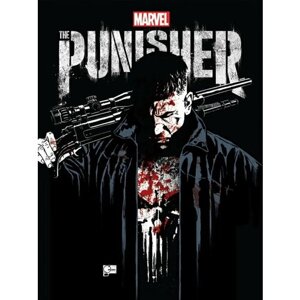 Плакат, постер на бумаге Punisher/Каратель/игровые/игра/компьютерные герои персонажи. Размер 42 х 60 см