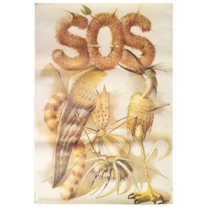 Плакат "SOS", бумага, печать, издательство "Панорама", СССР, 1990