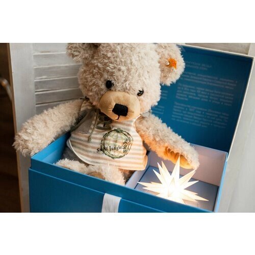 Подарочный набор голубой STEIFF с мягкой игрушкой Медведь Тедди Ленни и Звездой Гернгута