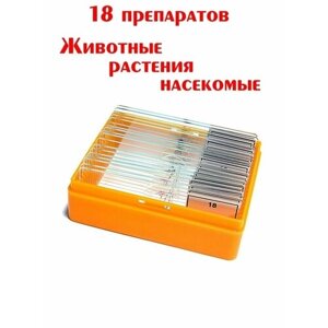 Препараты для микроскопа 18 шт Levenhuk и стекла для микроскопа (24+40шт) / образцы для микроскоп