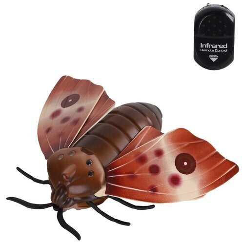 Радиоуправляемый Мотылёк , радиоуправляемый робот , насекомое на пульте управлении , насекомое игрушка , игрушечное насекомое от компании М.Видео - фото 1