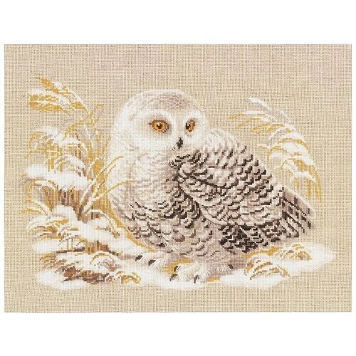 Риолис набор для вышивания Белая сова 45 x 35, 1241 разноцветный от компании М.Видео - фото 1