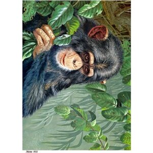 Рисовая бумага для декупажа А4 ультратонкая салфетка 0125 шимпанзе обезьяна винтаж крафт Milotto
