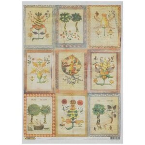 Рисовая бумага для декупажа Craft Premier "Средневековая ботаника", 38,4 х 28,2 см