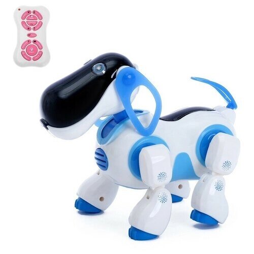 Робот собака «Ки-Ки», программируемый, на пульте управления, интерактивный: звук, свет, танцующий, музыкальный, на батарейках, на русском языке, синий от компании М.Видео - фото 1