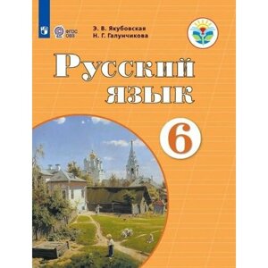 Русский язык. 6 класс. Учебник (для обучающихся с интеллектуальными нарушениями)