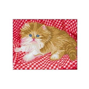 Рыжий кот Набор алмазной вышивки Бело-рыжий котенок (ASD5023) 40х50см