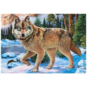 Рыжий кот Набор алмазной вышивки "Волк посреди снежного леса"F3-022) 22х32 см