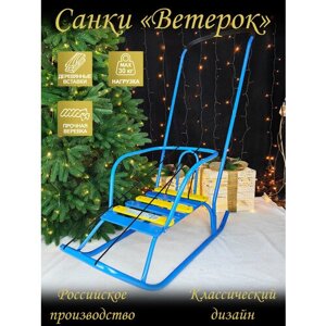 Санки с ручкой детские Ветерок 6 голубой 5599865/В6/Г2