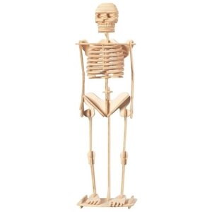 Сборная деревянная модель Чудо-Дерево Скелет человека (3 пластины) P076