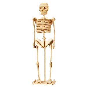 Сборная модель Мир деревянных игрушек Скелет человека (П076)