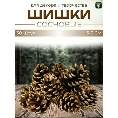 Шишки сосны, высушенные для поделок и творчества. Для декора. от компании М.Видео - фото 1